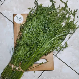 Daun Pakis: Sayuran Liar Bergizi yang Wajib Dicoba!