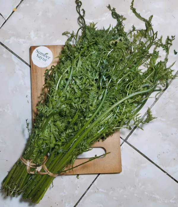 Daun Pakis: Sayuran Liar Bergizi yang Wajib Dicoba!