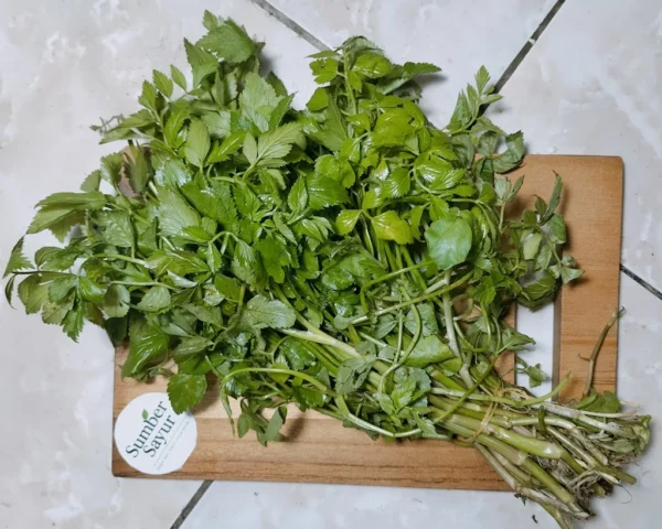 Daun Tespong: Sayuran Langka Khas Tasik yang Kaya Manfaat