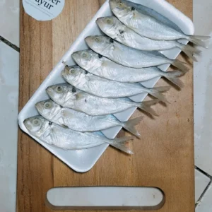 Ikan Kembung Segar: Nutrisi Tinggi & Tips Memilih Terbaik