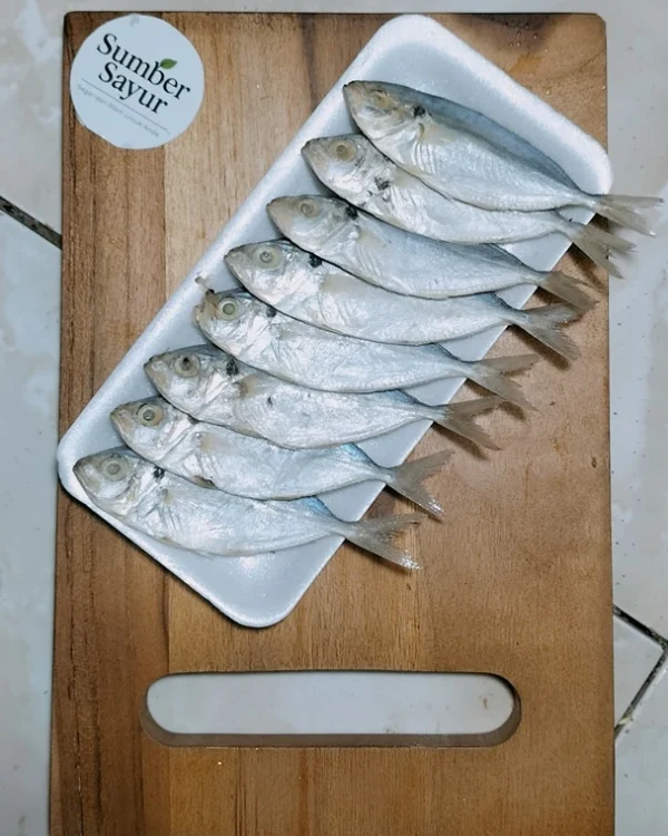 Ikan Kembung Segar: Nutrisi Tinggi & Tips Memilih Terbaik