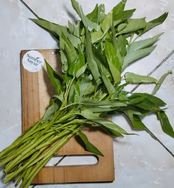 Kangkung Segar Tasikmalaya : Sayuran Sehat dengan Segudang Manfaat
