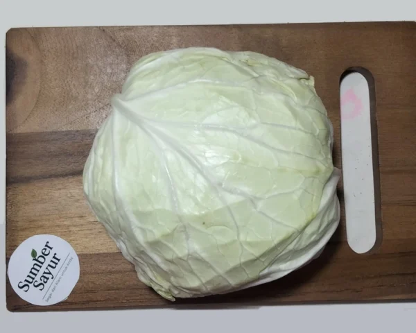 Kol Segar: Manfaat Sehat & Resep Praktis - Beli di Sumber Sayur!