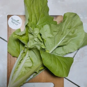 Sawi Keriting: Sayuran Super Sehat dengan Segudang Manfaat – Beli Segar di Sumber Sayur!