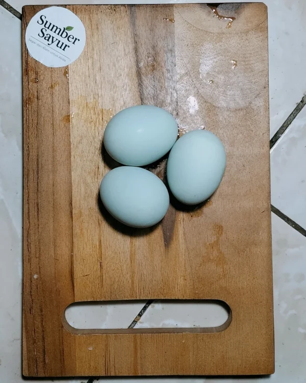 Telur Bebek: Superfood Bergizi Tinggi yang Wajib Dicoba di Tasikmalaya!