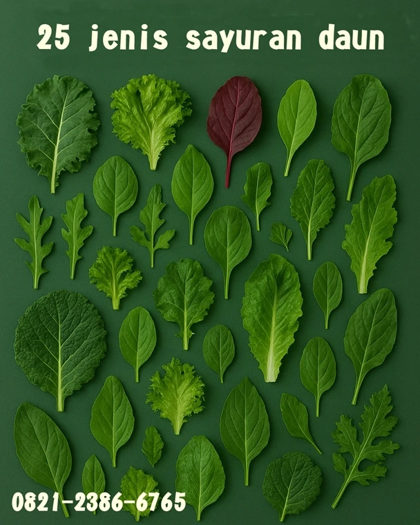 25 Jenis Sayuran Daun Segar di Tasikmalaya - Sumber Sayur