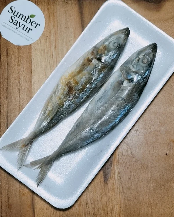 Asin Japuh: Ikan Asin Gurih Khas Tasikmalaya yang Wajib Dicoba