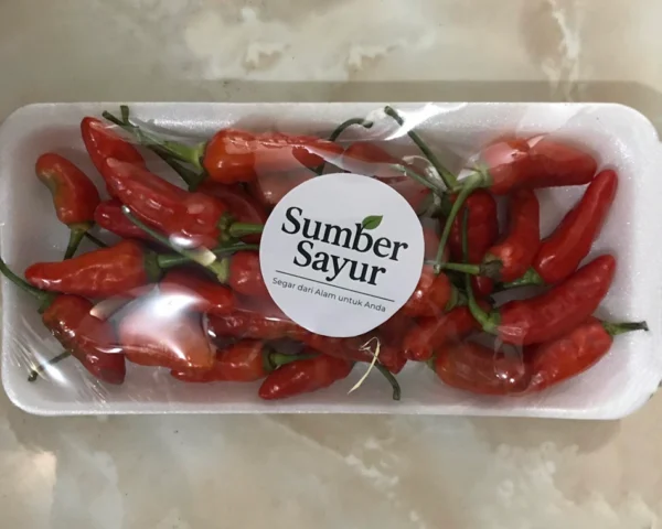 cabai-domba-segar-sumber-sayur-tasikmalaya