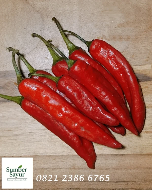 Cabai TW Merah Segar: Pedas Autentik & Tips Memilih Terbaik
