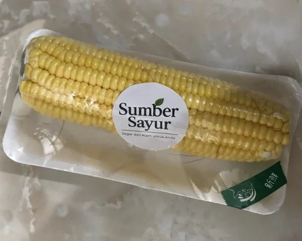 Jagung Manis Paragon: Manis, Renyah, dan Kaya Nutrisi