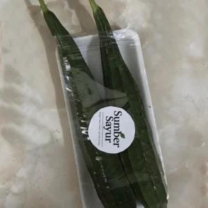 Lopang Segar di Tasikmalaya? Sumber Sayur Solusinya!