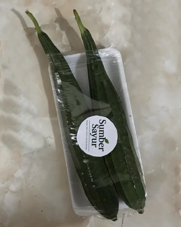 Lopang Segar di Tasikmalaya? Sumber Sayur Solusinya!