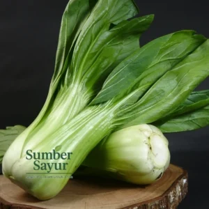 bok choy 250g tasikmalaya segar dari sumber sayur
