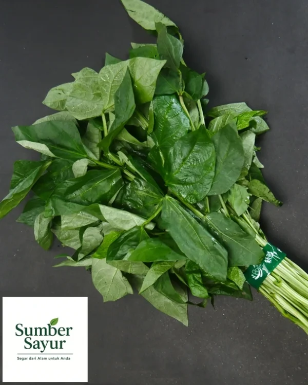 daun kacang segar sumber sayur tasikmalaya