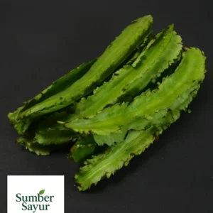 kecipir sayur tasikmalaya