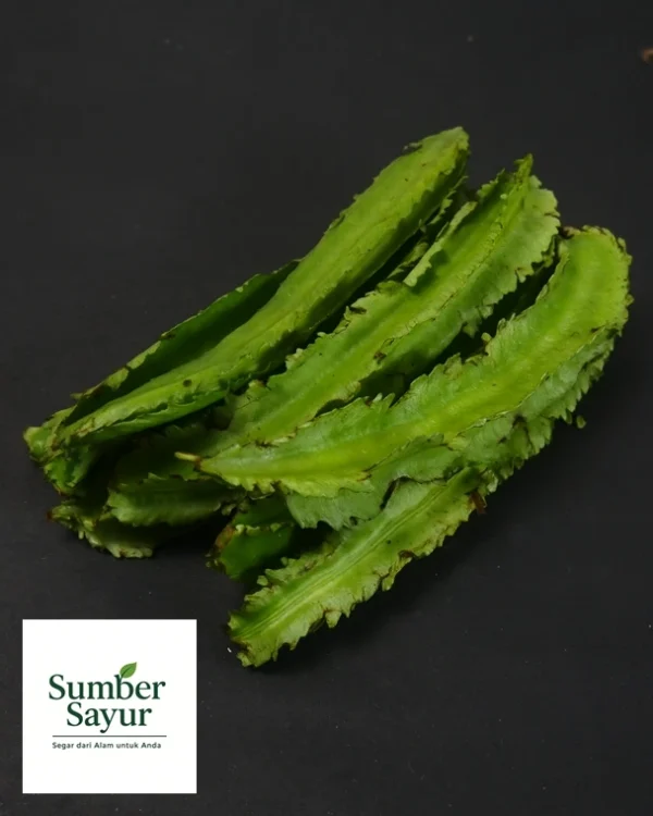 kecipir sayur tasikmalaya