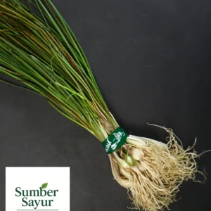kucay atau angkio sumber sayur tasikmalaya