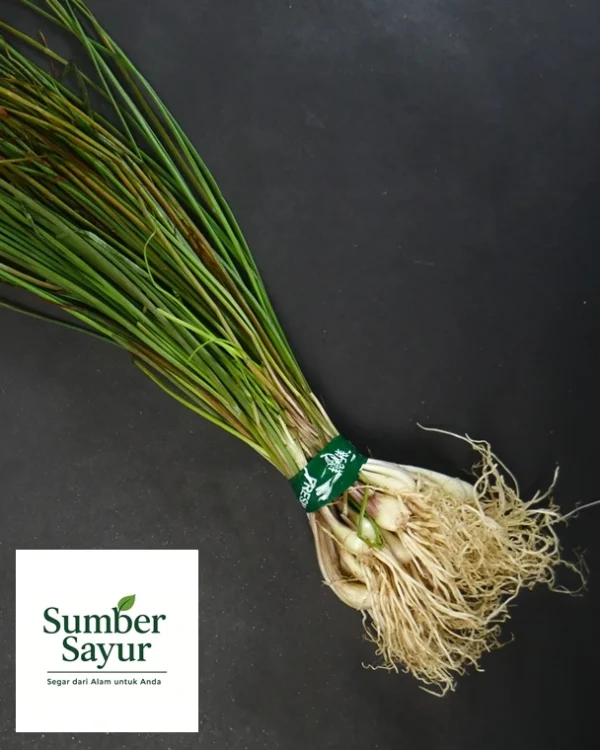 kucay atau angkio sumber sayur tasikmalaya