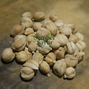 lada putih 250g/pack taikmalaya sumber sayur