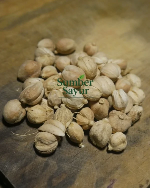 lada putih 250g/pack taikmalaya sumber sayur