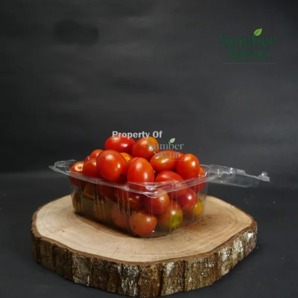 tomat ceri sumber sayur tasikmalaya